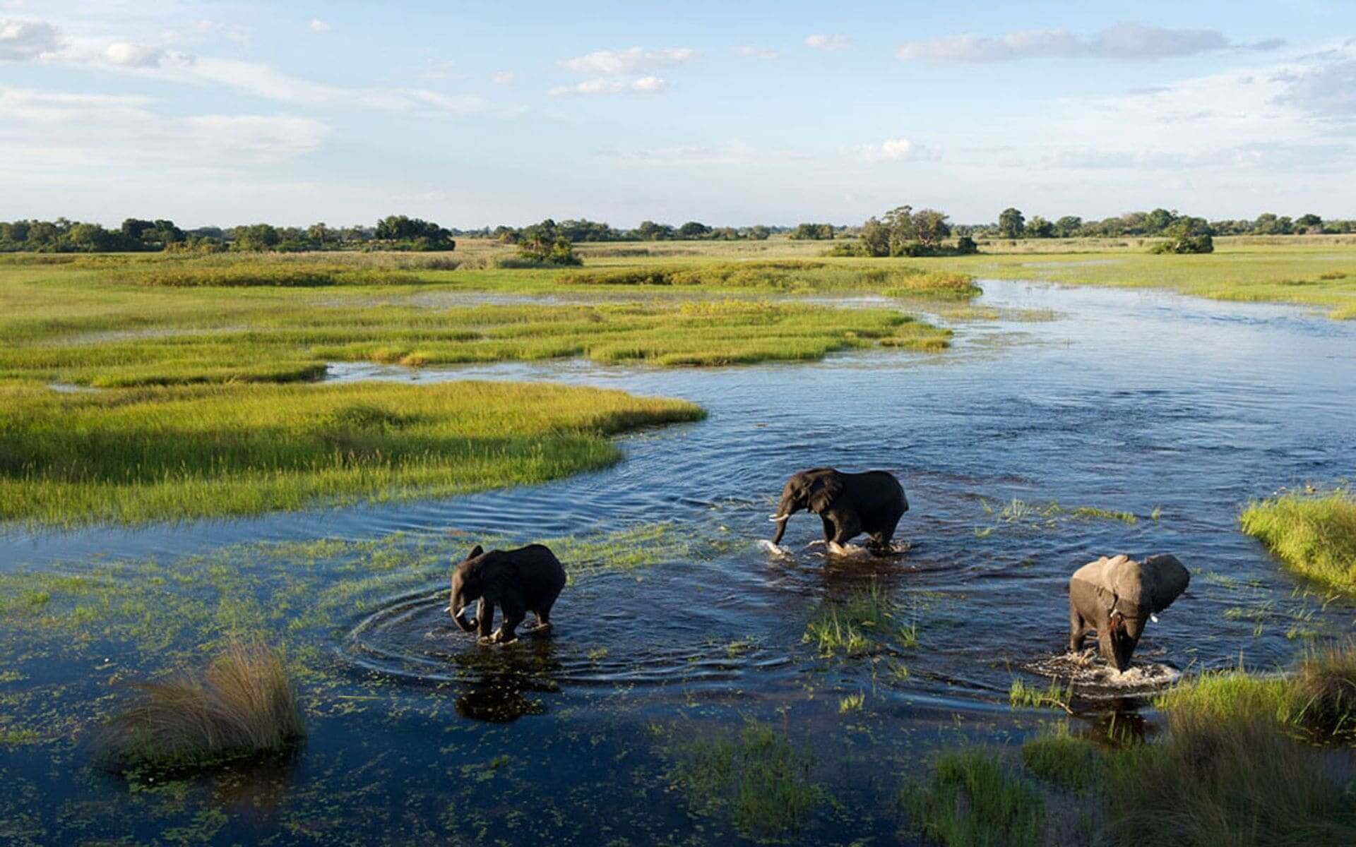 Brilliant wildlife viewing opportunity