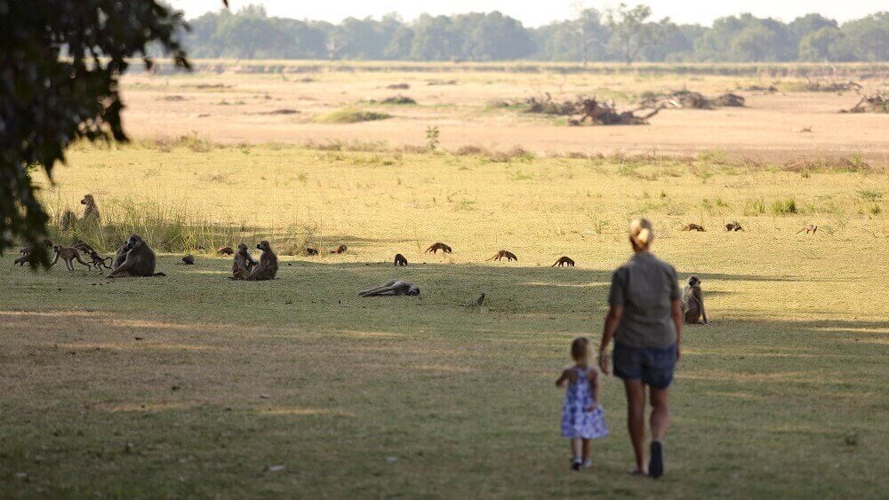 Family safari in Zambia with kids