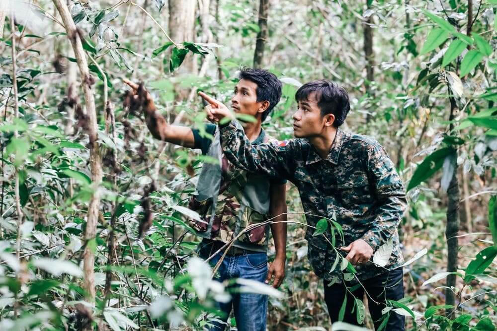 shinta mani wild staff foraging in the jungle