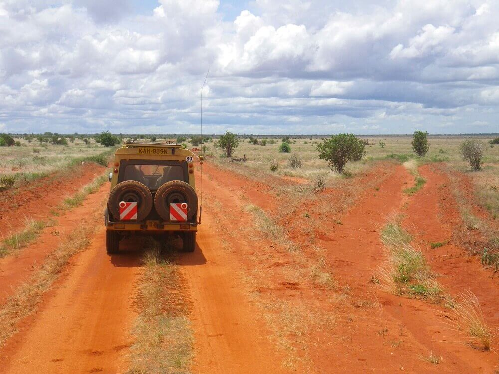 Game drive safari on an East Africa honeymoon