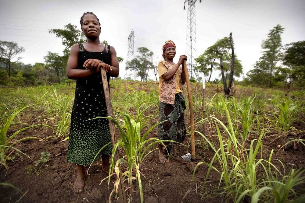 Gloria and her daughter on their cleared lands in Mozambique