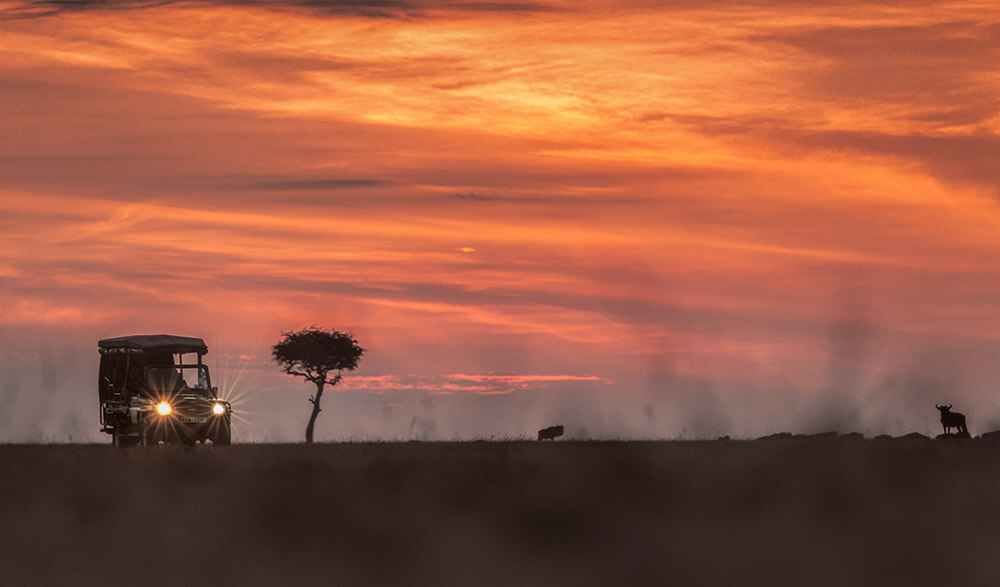 Safari in Masai Mara