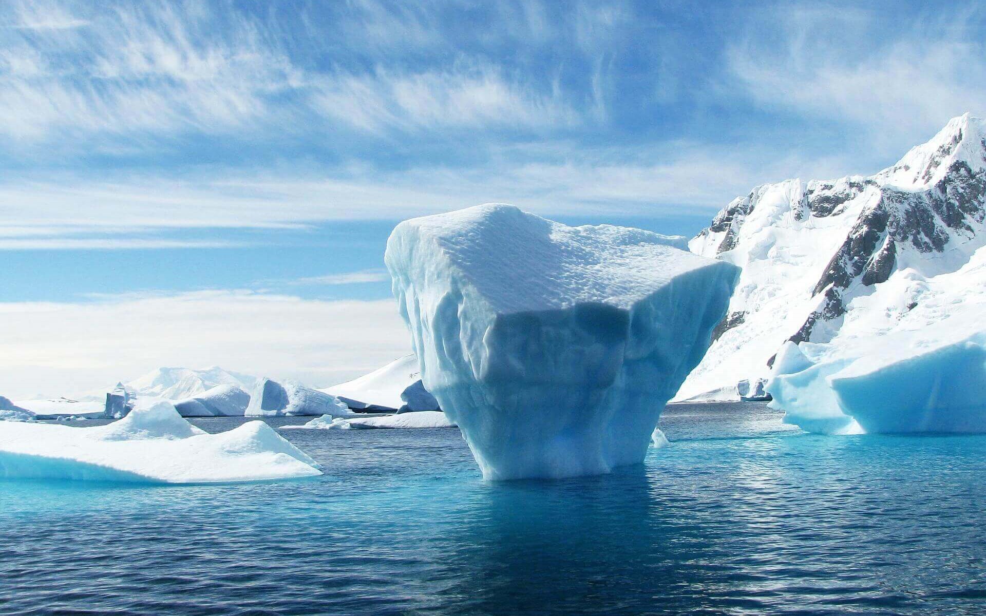 Wayfairer Travel Guide: Antarctica