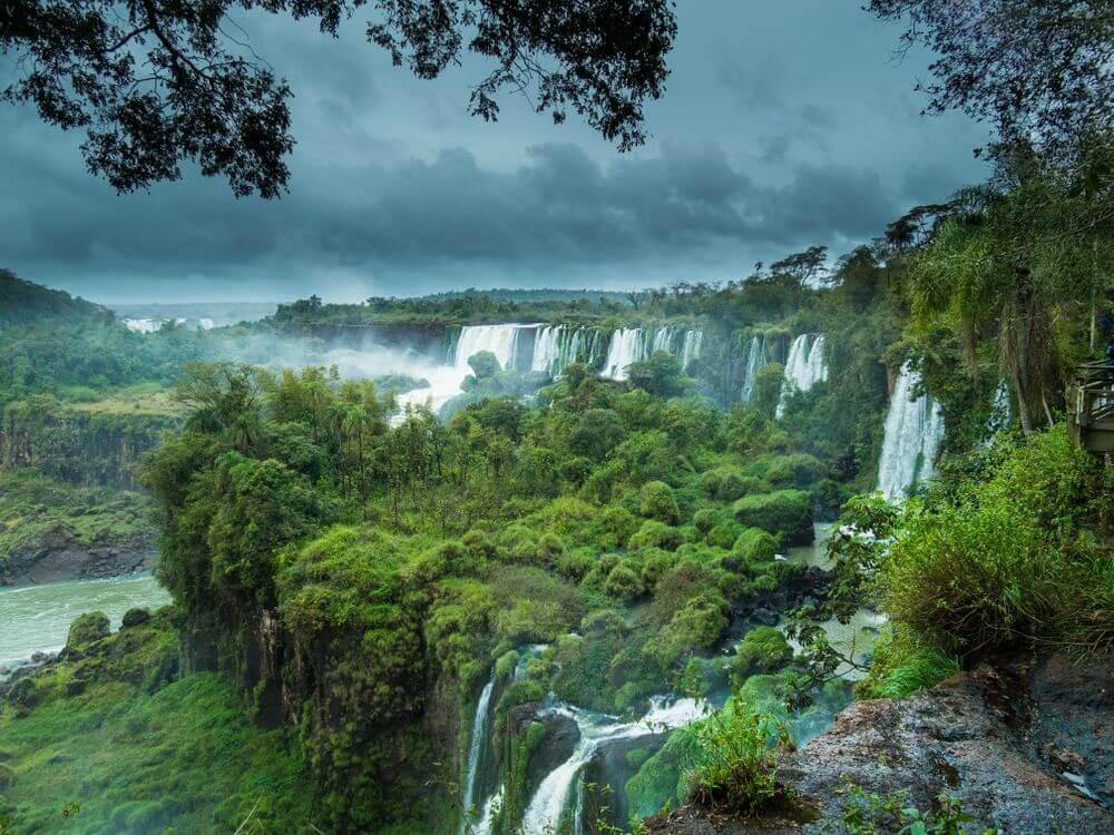 lush greenery around Iguazu Falls