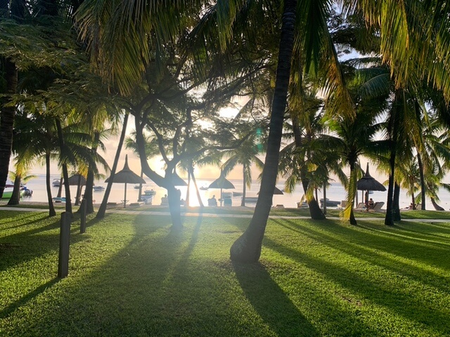 Andrea's photos from LUX Le Morne, Mauritius