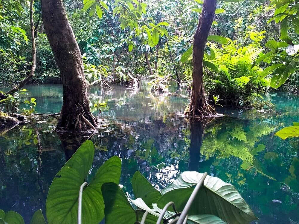 Jungle and water pools in Luang Prabang Laos