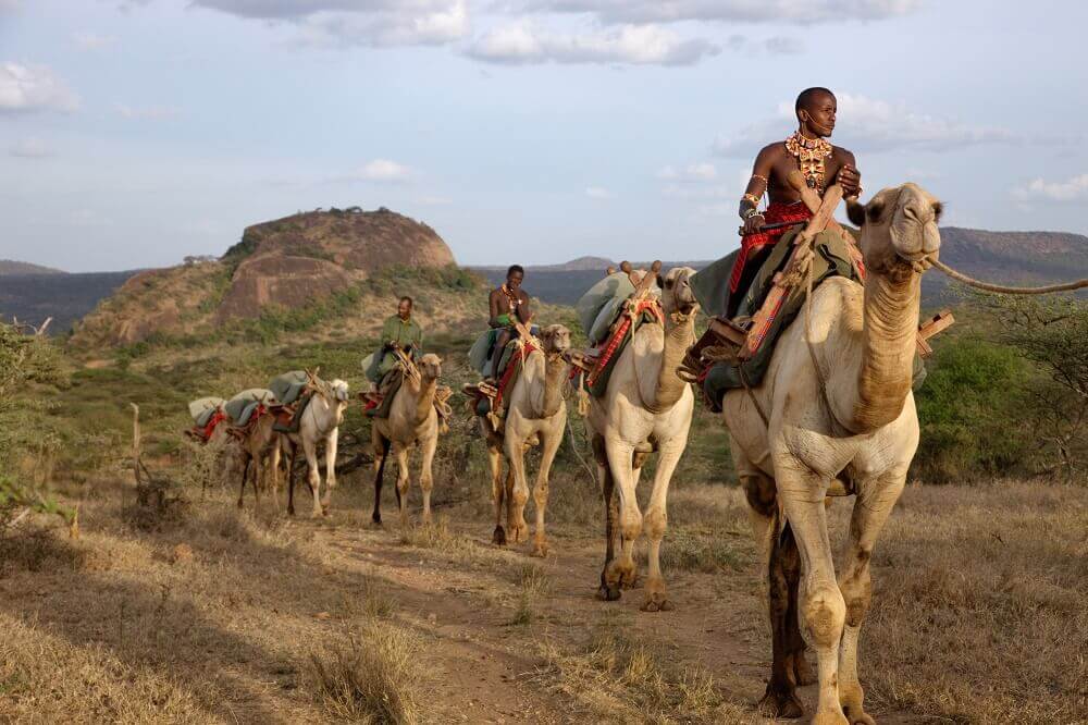 Kenya camel safari in Laikipia on an East Africa honeymoon