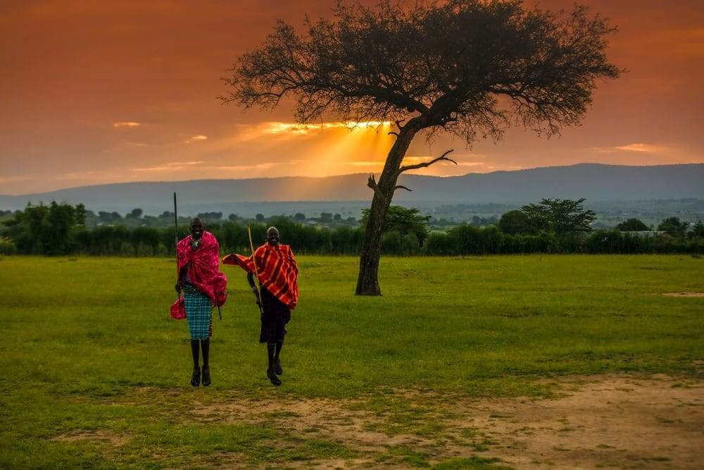 kenyan maasai warriors performing a traditional dance at sunset in the masai mara, kenya