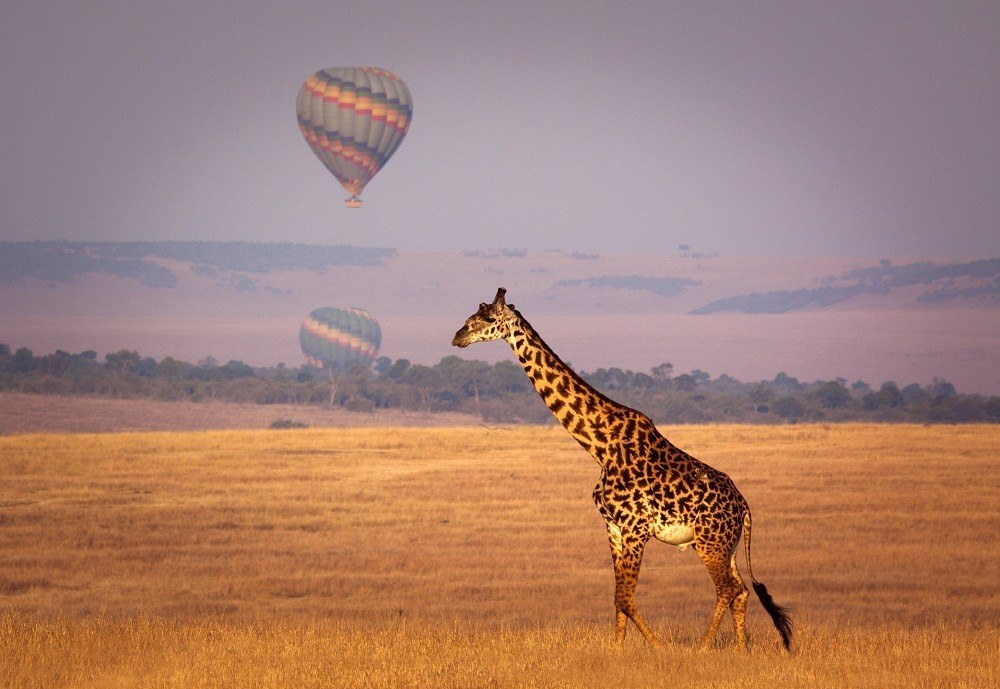 kenya_safari_typical_day_balloon_safari-1