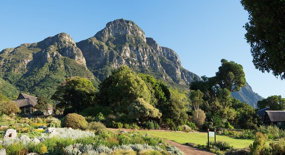 Kirstenbosch Botanical Gardens - Cape Town with Kids