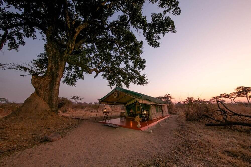 exterior of luxury tent at mdonya old river camp, ruaha national park, tanzania