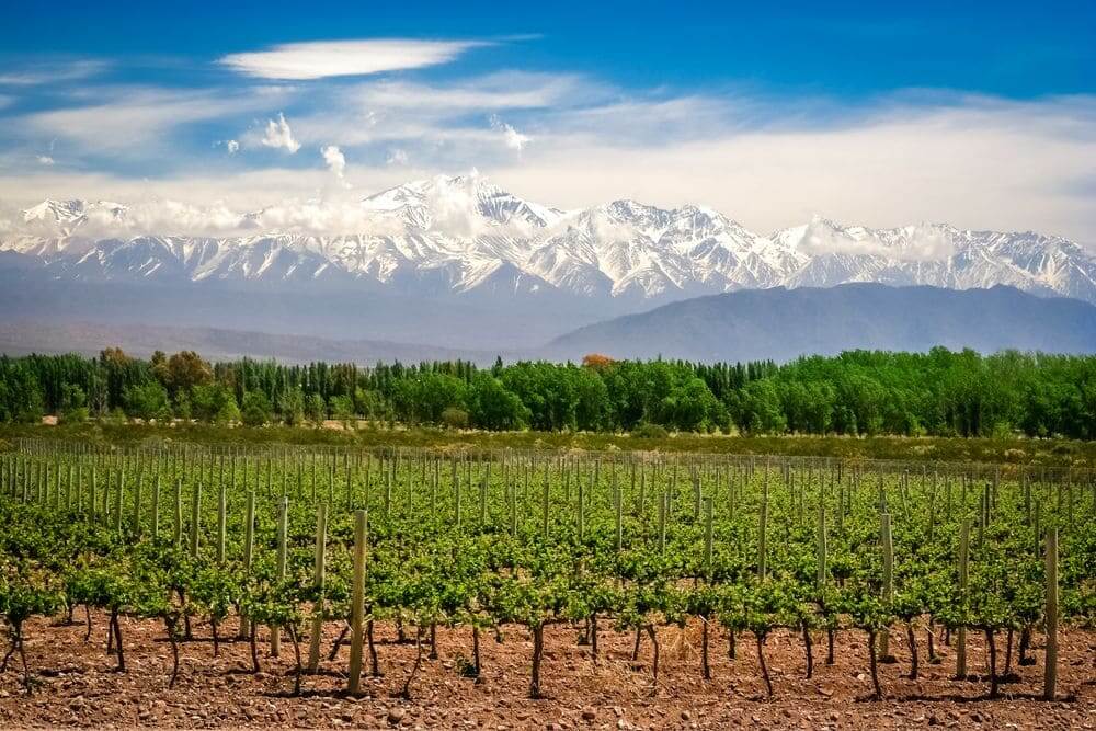 sunny mendoza wineries with Andes mountains backdrop Argentina