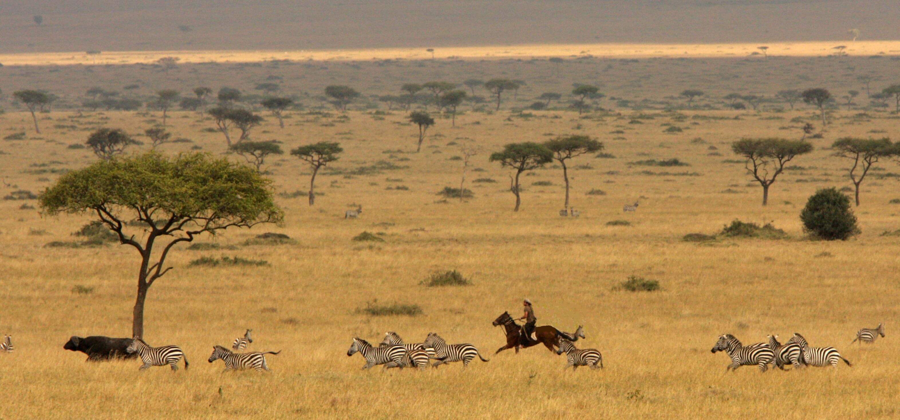 Horseback safaris in the Masai Mara with Offbeat Safaris