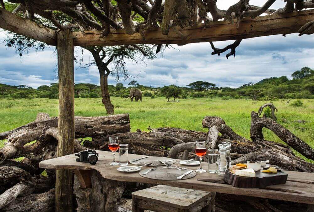 elephant roaming past a dining table at ol donyo lodge in amboseli kenya