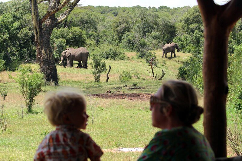 ol pejeta safari cottages sunny holidays