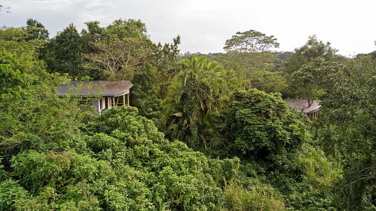 Turaco Treetops cottages