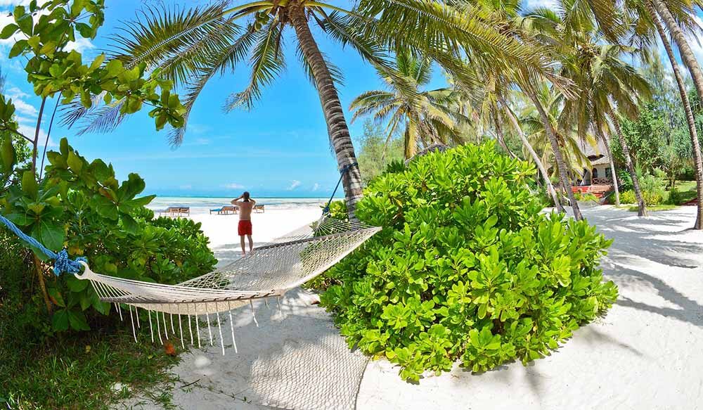 Hammock in Pongwe Beach Hotel