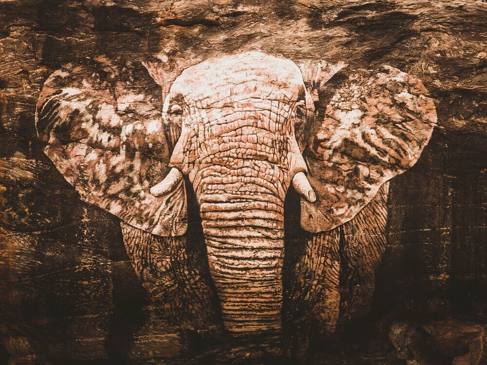 Reteti Elephant Sanctuary in northern Kenya - artwork