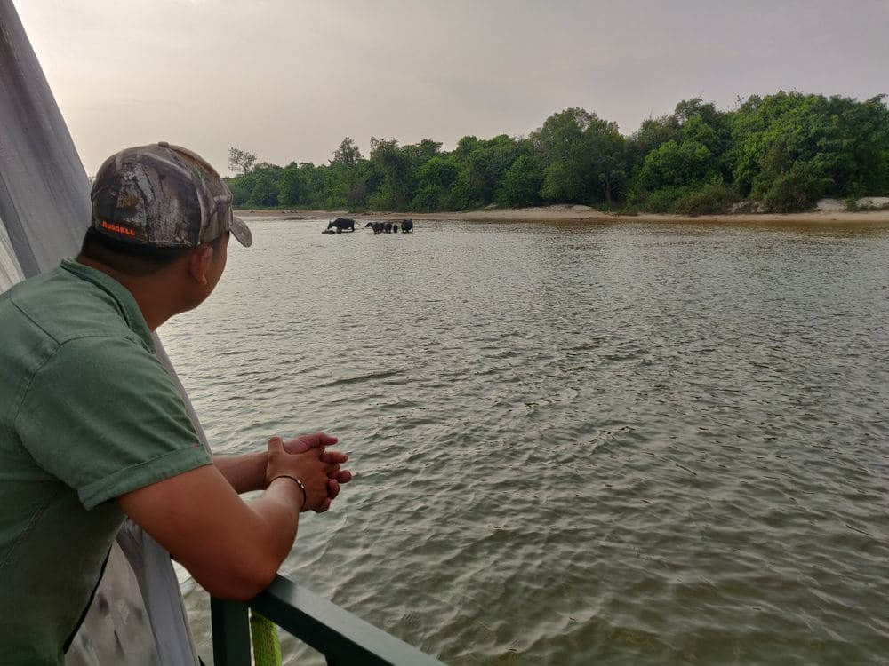 shinta mani staff looking out from the boat at a family of buffalo in the river