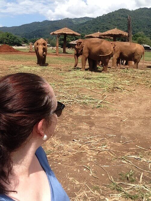 selfie-with-the-elephants-at-elephant-nature-park