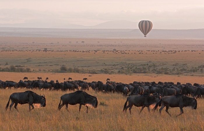 Hot air balloon over Serengeti Wildebeest Migration