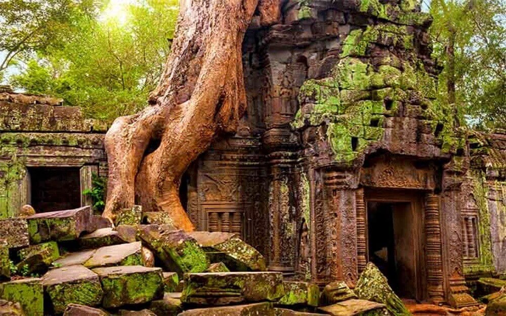 Ta Prohm temple with trees in Angkor Cambodia