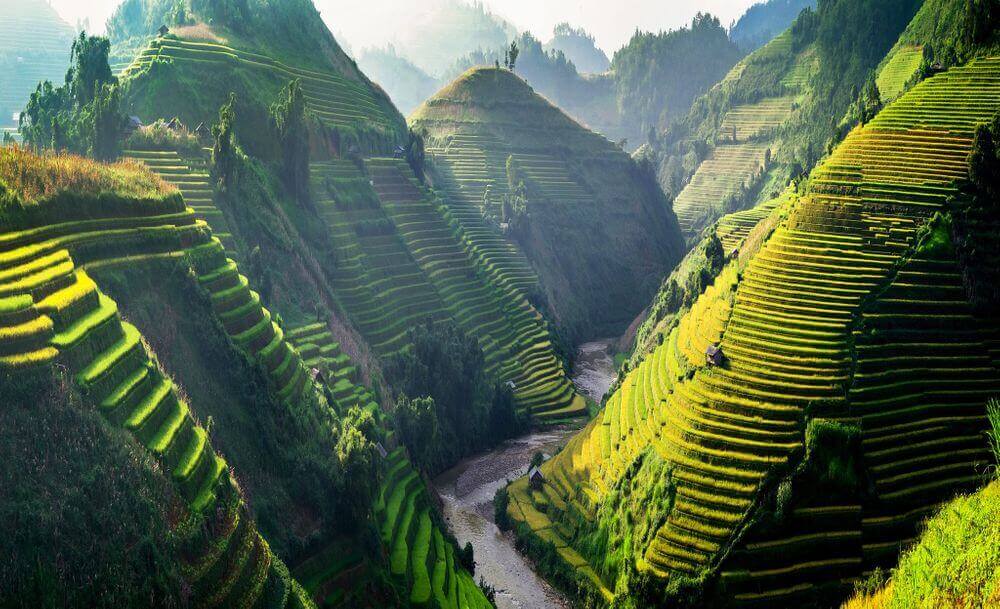 terraced rice fields and mountains in sapa vietnam