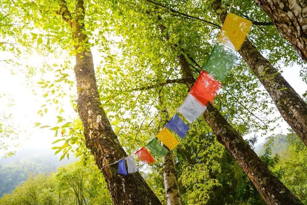 tibetan prayer flags hung for tibetan cultural events