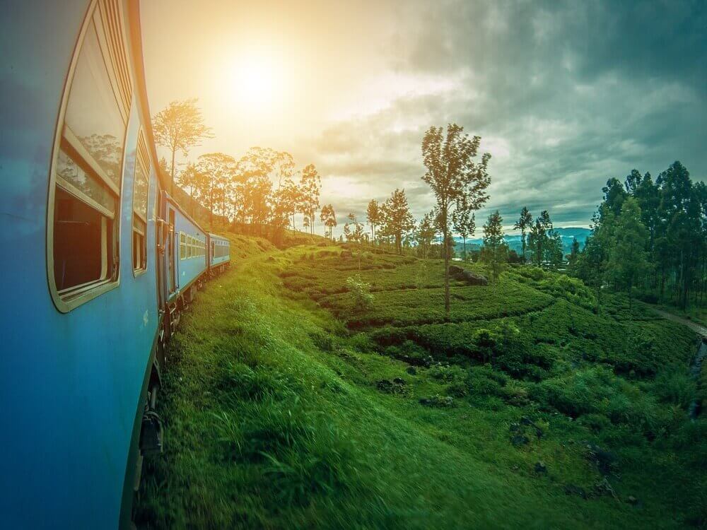 train to ella rolling through lush forests and rice fields