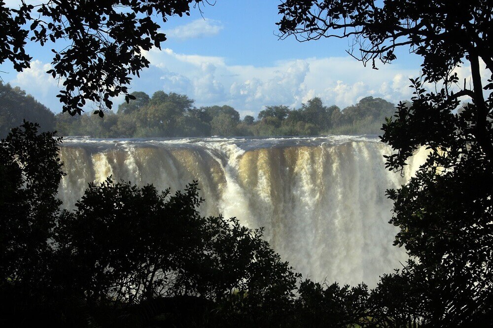 Victoria Falls view through trees