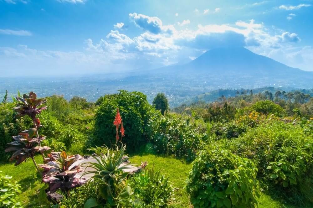 ciew over mount sabyinyo, volcanoes national park, rwanda