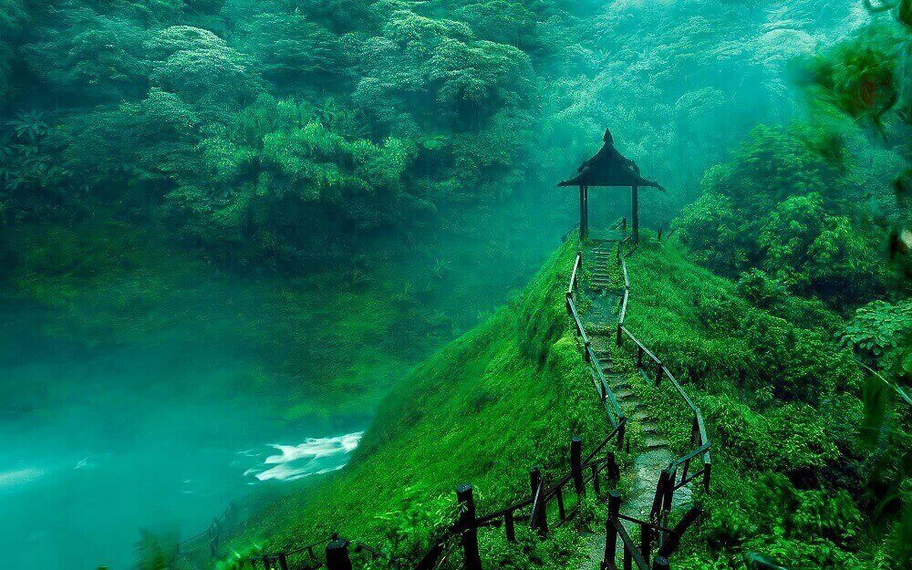 stairs leading through the dense green jungle to a waterfall in Laos