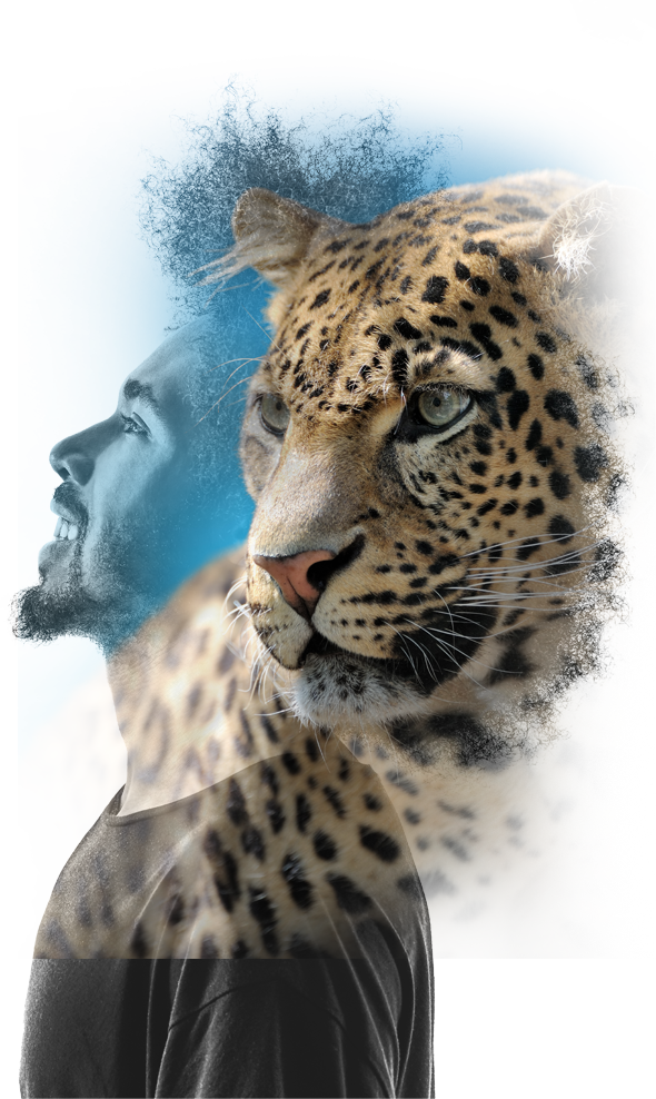 leopard and man graphic